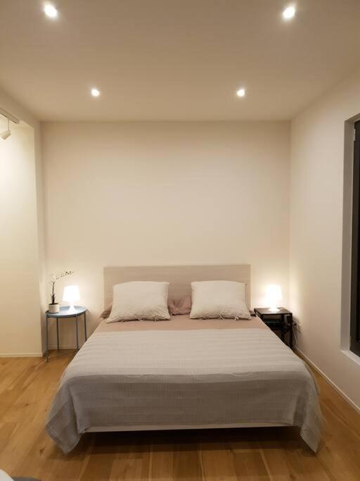 Experience The Loft! Loft 18, Downtown, Near The Lake Free Parking Available Лугано Екстер'єр фото